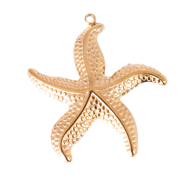 CHARM ESTRELLA DE MAR