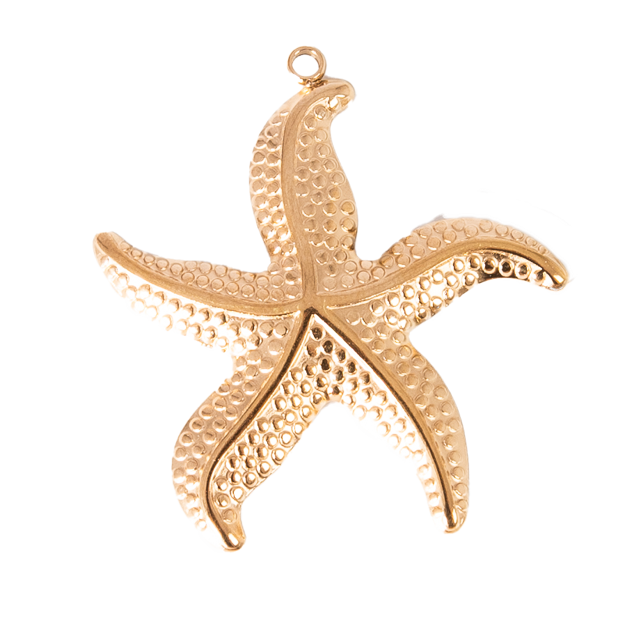 CHARM ESTRELLA DE MAR