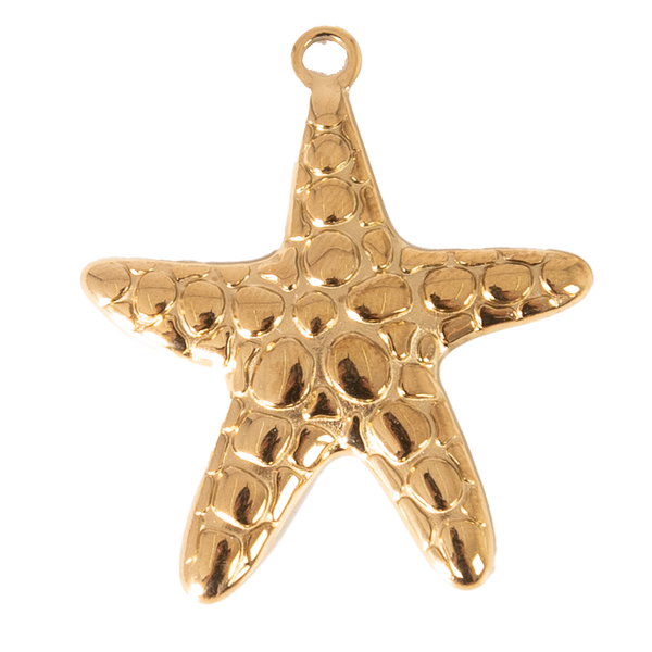 CHARM ESTRELLA DE MAR TEXTURA