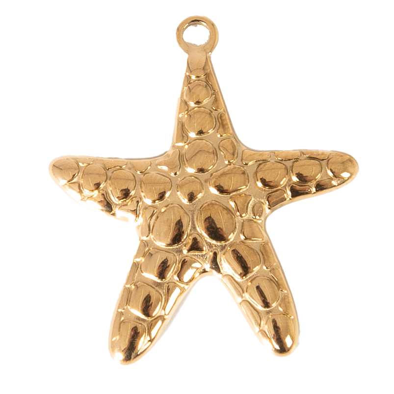 CHARM ESTRELLA DE MAR TEXTURA