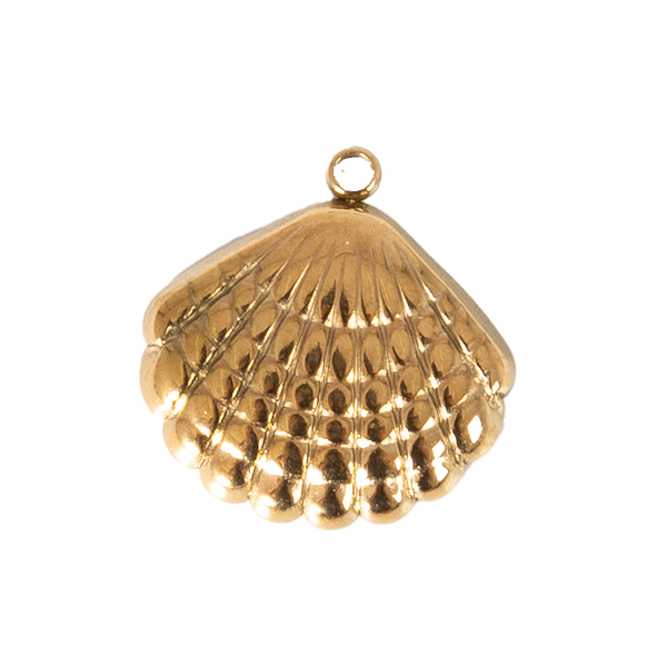 CHARM CONCHA