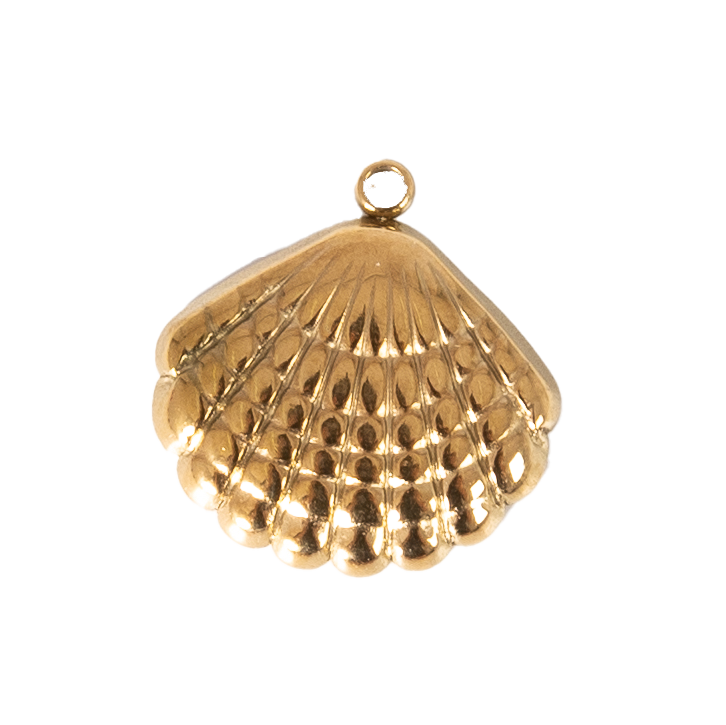 CHARM CONCHA