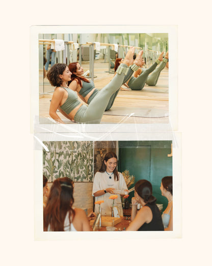 Shine & Flow - 15 de Noviembre